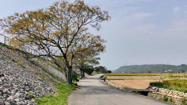 外埔忘憂谷,鐵砧山2648032