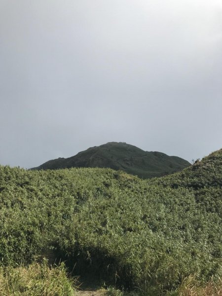 七星山攻頂577483