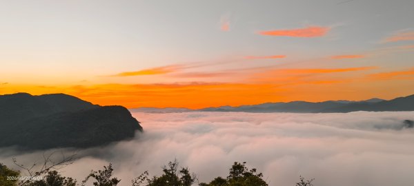 #新店四十份 #翡翠水庫壩頂 #日出 #雲海 #火燒雲 #藍腹鷴 5/203057621