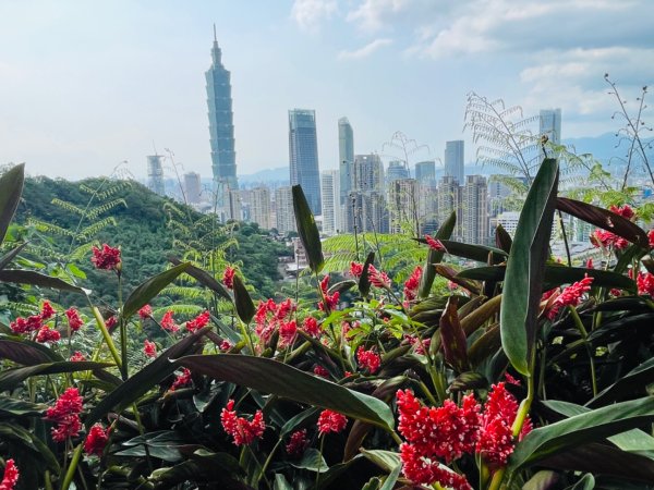 1140513象山峰-永春崗平台O繞2785597