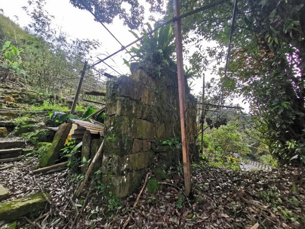 猴山岳萬壽路登山口-猴山岳-林家草厝-猴山岳山腰路-泰元農場 踽踽獨行2720840