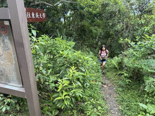 劍潭山+老地方202507192863869