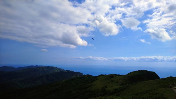 桃源谷（大里天公廟—大溪河濱公園）735848