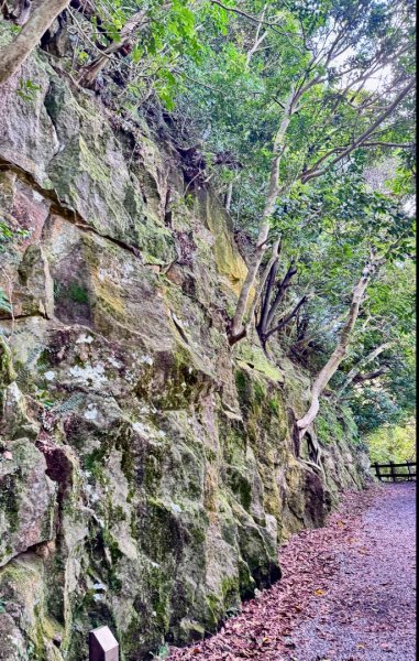 天母水管路走陽明山尖山2881357