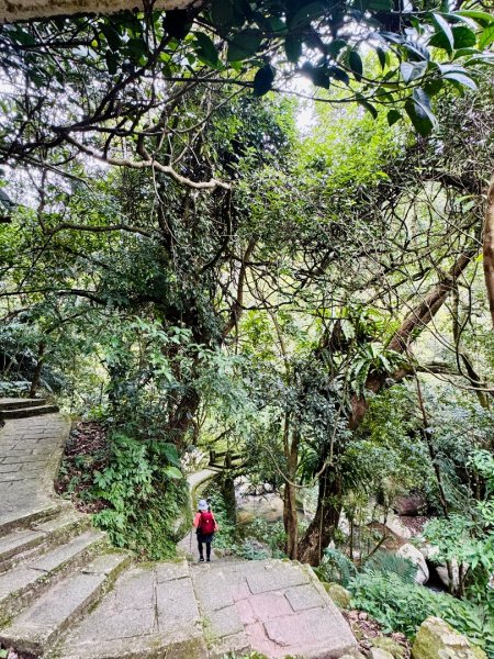 登峰古圳訪高頂山 北五指山 出荷蘭古道 快閃聖人瀑布2981956