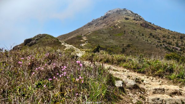 【海外健行】香港四徑 The Four Trails3031652