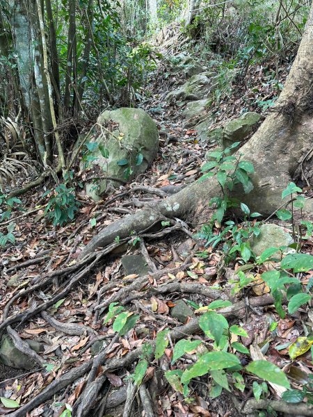 看不清山巒面貌的暗影山2088702