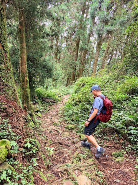 1150730嘉義大凍山之旅3092610