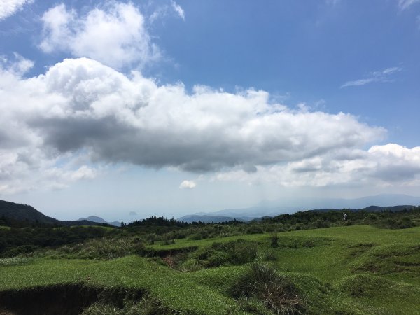 荷蘭古道-北五指山-擎天崗-內寮古道558264