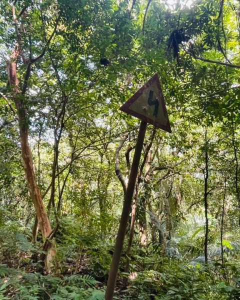 烏來阿玉溪山/西坑林道/探勘派出護管所彈藥庫遺址至獅坑橋2582024