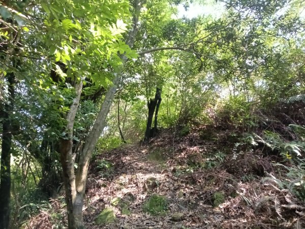 汐止區金明山B線+如意湖O型2860247