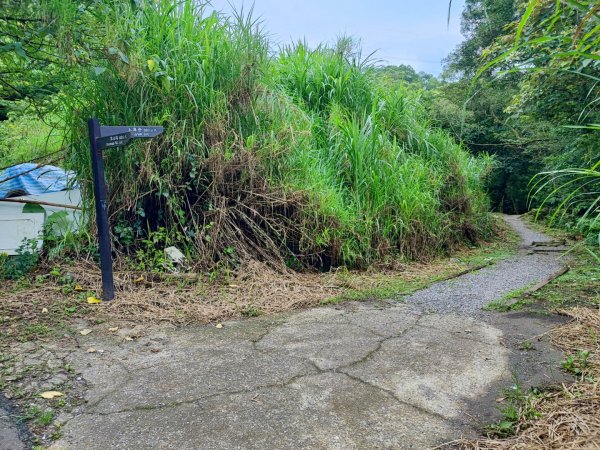 土庫岳-小百岳#14-新北市深坑區2247857