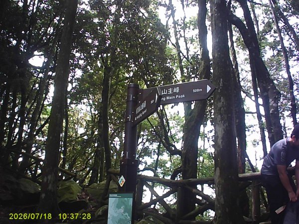 大雪山林道橫嶺山步道、橫嶺山、沙蓮山、笛吹山O繞3090394