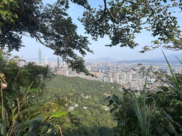 台北大縱走六七段2752096