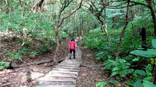 三貂嶺,中坑,柴寮古道1838429