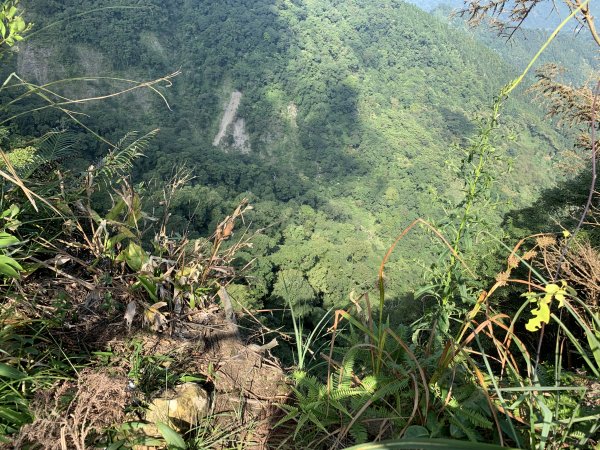 【小百岳】鵝公髻山Ｏ型、柳杉森林浴、上坪溪瀑布群1630697