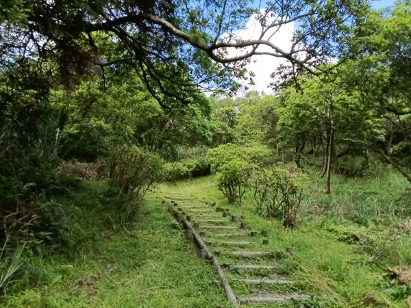 坪林區司公髻尾山+虎寮潭吊橋+粗石斛吊橋+大舌湖步道+漁光派出所2794282