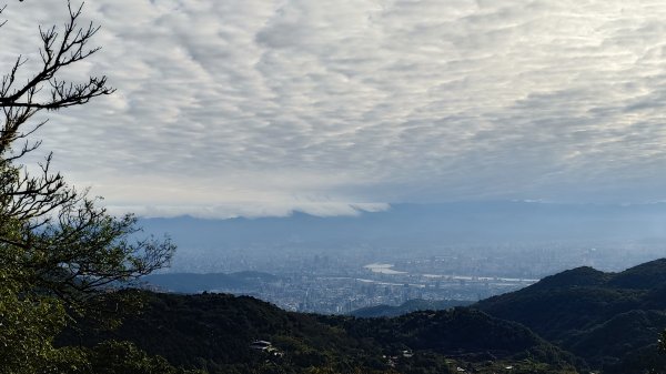 20260125 陽明山前後山健行(無極天元宮~山仔頂步道.向天池.向天山.面天山.二子坪)2998071