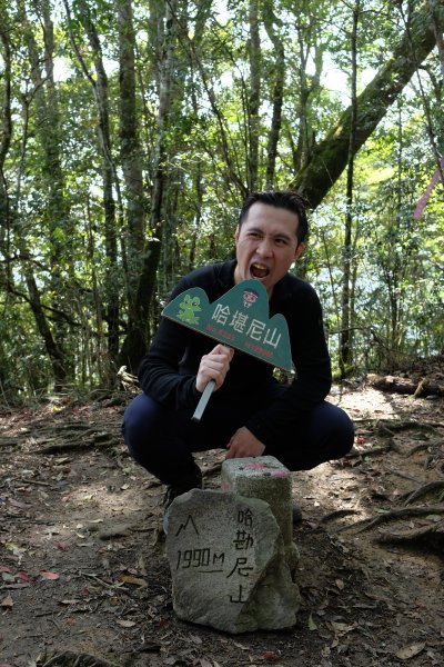 苗栗南庄鄉 二訪加里山 ‧ 2025春 哈加2753386