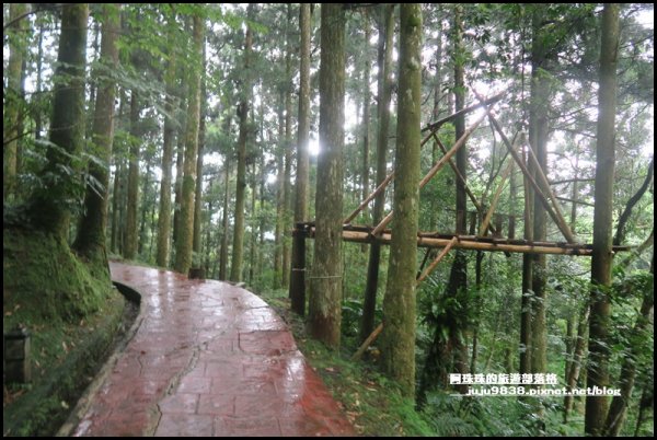 東眼山打卡新亮點森林裡的木構裝置藝術1021791