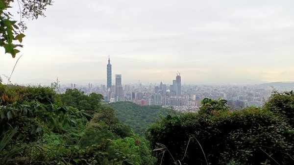 【臺北大縱走 6】石階綿延的南港山縱走親山步道1340830