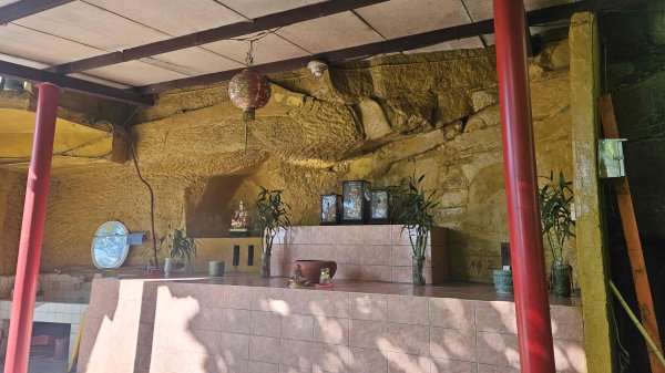 20250816劍潭山方舟森林-北眼平台-微風平台2864255