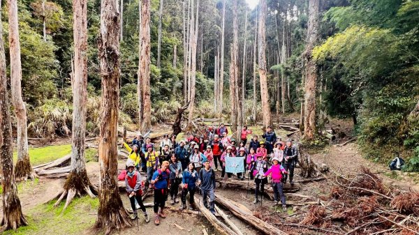 🌈1/18（日）忘憂森林×金柑樹山×溪頭天文台✨FB：熊熊趴爬走🌈2983998