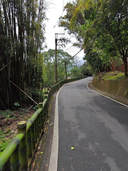 20260321大棟山系-百年大榕樹段3019059