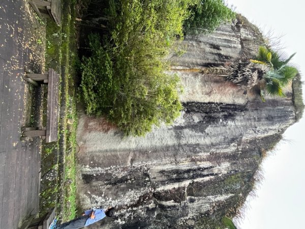 20230924_大湖尖山、大凍山（嘉義縣小百岳）2762737