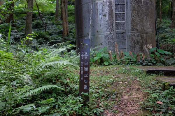 桃園復興區  東卡O縱2823799