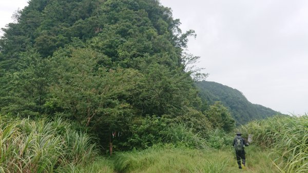 20180901新店獅仔頭隘勇線登山步道416113