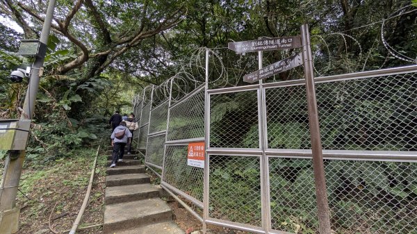 114.12.20劉銘傳隧道-獅球嶺北峰-獅球嶺東砲台山-獅球嶺池-獅球嶺砲台山之旅2966697