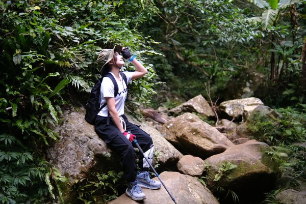 打鐵寮古道.白石山2752903