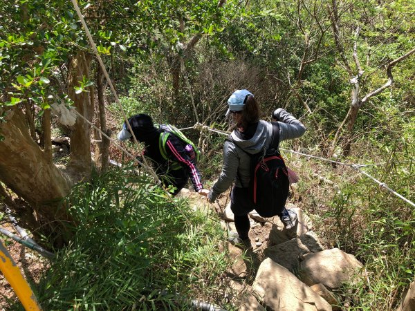 2020.03.08里龍山878275