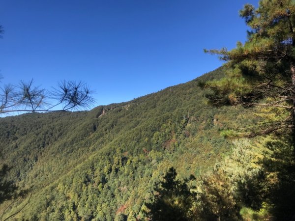 大雪山200林道北三錐山736906