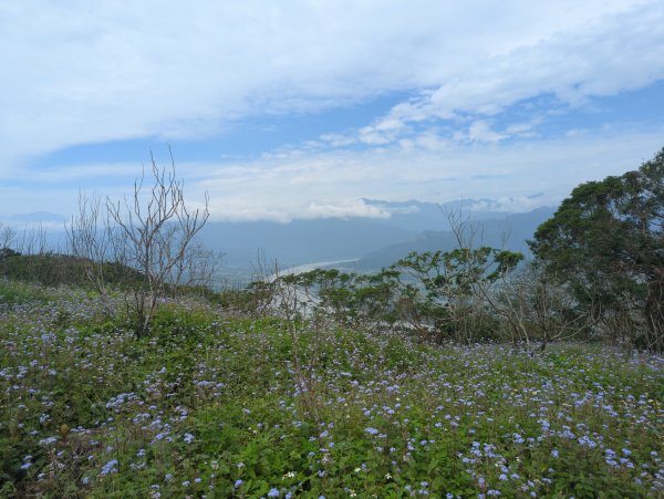 2025.02.27－月眉山2727899