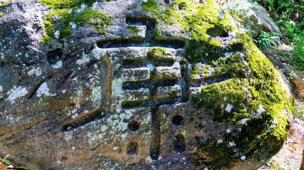 陽明山16草原之西線8草原2904056