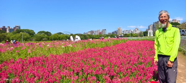 首訪 #古亭河濱公園 #花海 3/153015678