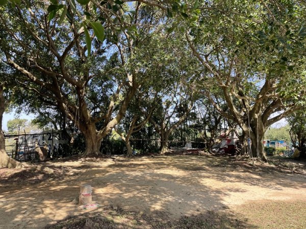 鳳鳴越嶺山佳2708067