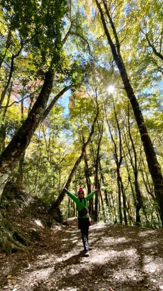 2022霞喀羅古道精華段/養老-白石吊橋賞🍁楓趣1970459