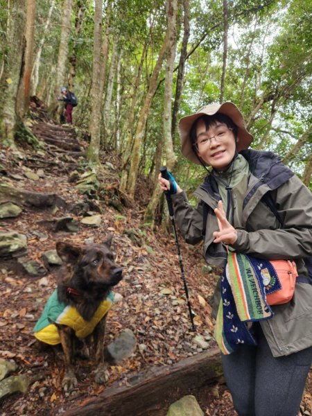 【中級山】谷關七雄八仙山2745078