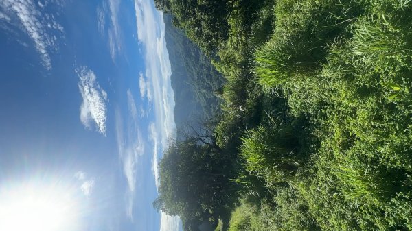 新竹橫山-大崎棟步道2619159