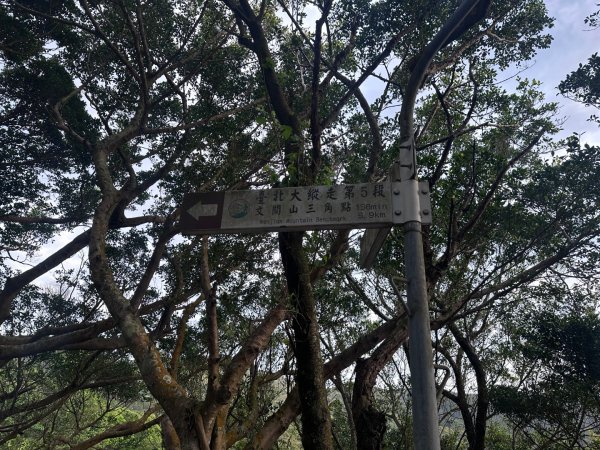 臺北大縱走第五段：捷運劍潭站至碧山巖2751297