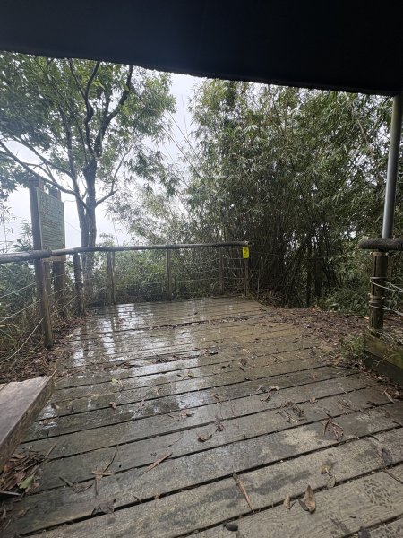 20251227尾寮山登山步道2970512