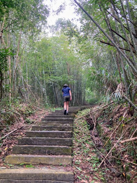 孝子路步道2624976