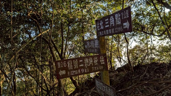 大橫屏山步道2977348