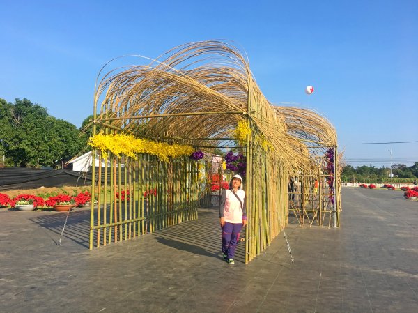 2019新社花海2019/11/12734648