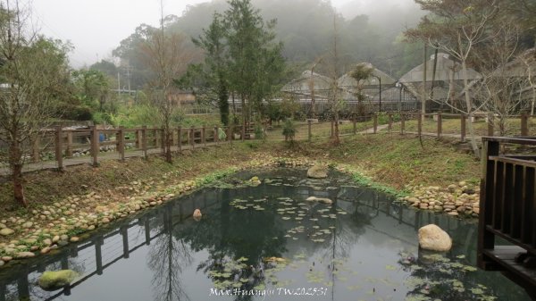 《苗栗》台鐵舊山線｜三義勝興鐵道覓境及挑柴古道O繞202501192693559