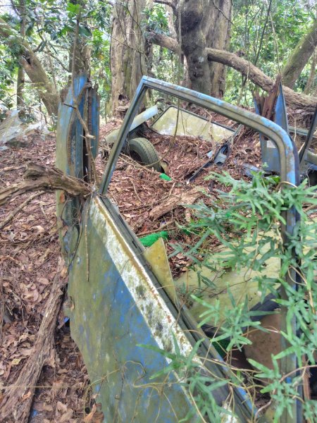 大棟山系南段 水利古道西口 上 竹高崙山 連走 鳥子嶺 坑仔內山 大崖山 下 龍目井農場2953159