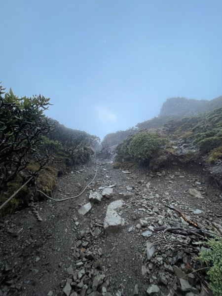 一日小O聖 2024 11/222865480